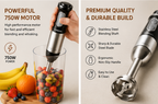 Kenwood KW-305 2-in-1 Hand Blender | 750W Powerful Stick Blender with Egg Beater | Stainless Steel Shaft | Multi-Speed Control
